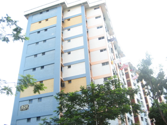 Blk 629 Bedok Reservoir Road (Bedok), HDB Executive #196512